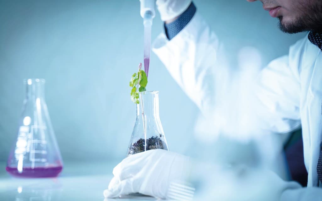 Experimento científico en el programa de semilleros científicos